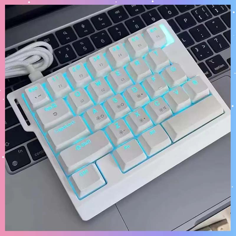 Esports Gaming Keyboard - HE30 Mekanik Oyun Klavyesi 29 Tuşlu